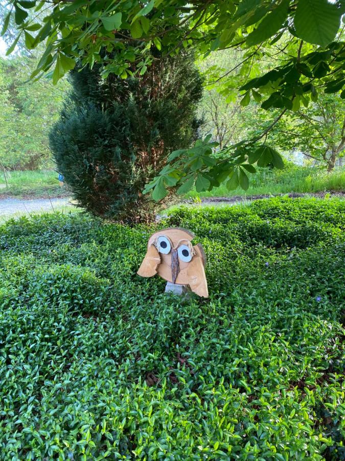Urlaub In Der Natur リューデンシャイト エクステリア 写真