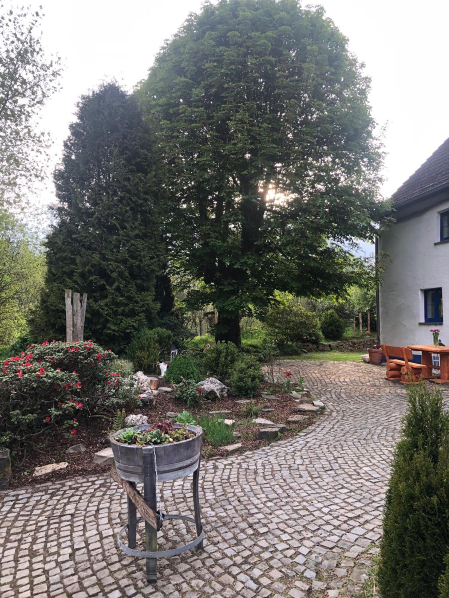 Urlaub In Der Natur リューデンシャイト エクステリア 写真
